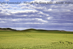 51-Through-the-Green-Fields-1