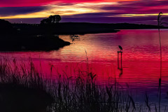 Sunset Lake Albert